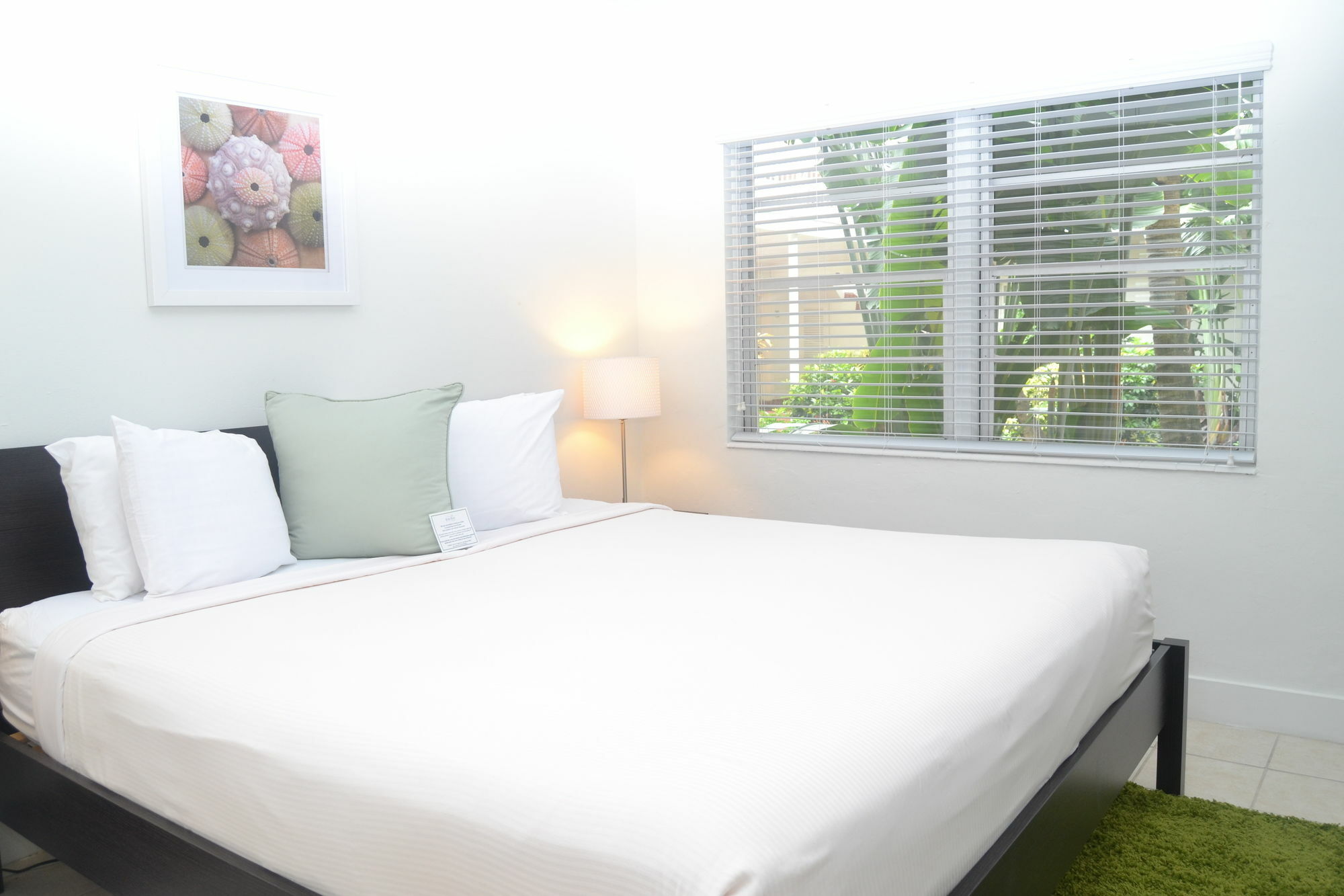 Solas A North Beach Village Resort Hotel Fort Lauderdale Ngoại thất bức ảnh